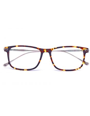 Sarkany SNF506 C21 (Brown Print)