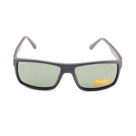 Polarsun PL-6594P C6M/G15